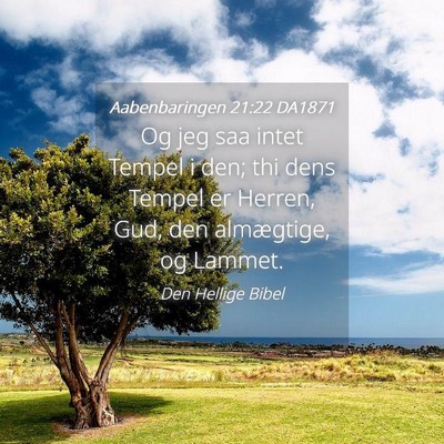 Picture 04 - Aabenbaringen 21:22 DA1871 - Og jeg saa intet Tempel i den; thi dens Tempel er - Bible Verse Picture