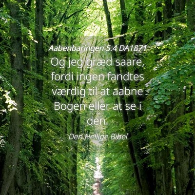 Picture 04 - Aabenbaringen 5:4 DA1871 - Og jeg græd saare, fordi ingen fandtes værdig - Bible Verse Picture