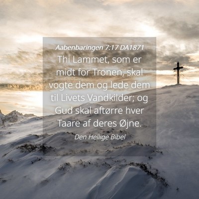 Picture 04 - Aabenbaringen 7:17 DA1871 - Thi Lammet, som er midt for Tronen, skal vogte - Bible Verse Picture