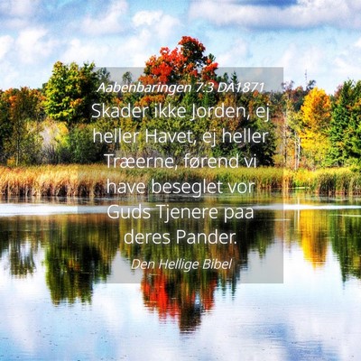 Picture 04 - Aabenbaringen 7:3 DA1871 - Skader ikke Jorden, ej heller Havet, ej heller - Bible Verse Picture