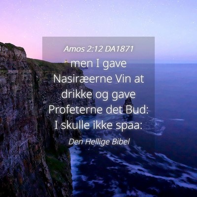 Picture 04 - Amos 2:12 DA1871 - men I gave Nasiræerne Vin at drikke og gave - Bible Verse Picture