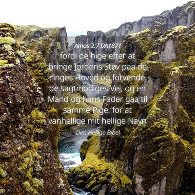 Picture 04 - Amos 2:7 DA1871 - fordi de hige efter at bringe Jordens Støv paa - Bible Verse Picture