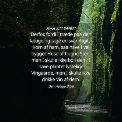 Picture 04 - Amos 5:11 DA1871 - Derfor, fordi I træde paa den fattige og tage en - Bible Verse Picture