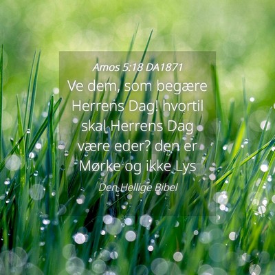 Picture 04 - Amos 5:18 DA1871 - Ve dem, som begære Herrens Dag! hvortil skal - Bible Verse Picture
