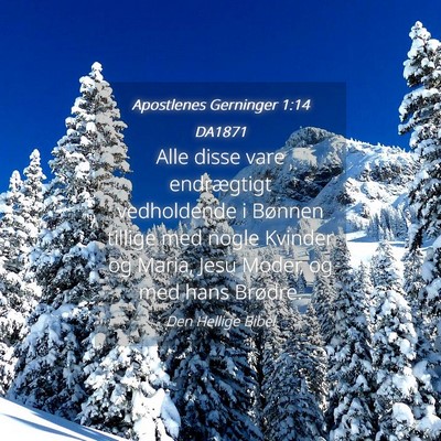 Picture 04 - Apostlenes Gerninger 1:14 DA1871 - Alle disse vare endrægtigt vedholdende i Bønnen - Bible Verse Picture