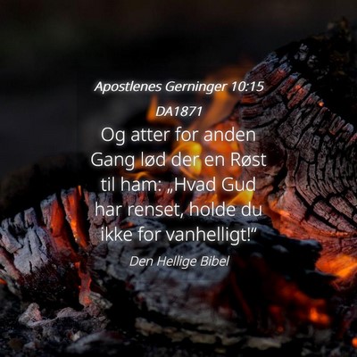 Picture 04 - Apostlenes Gerninger 10:15 DA1871 - Og atter for anden Gang lød der en Røst til - Bible Verse Picture