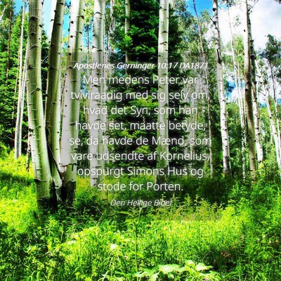 Picture 04 - Apostlenes Gerninger 10:17 DA1871 - Men medens Peter var tvivlraadig med sig selv om, - Bible Verse Picture