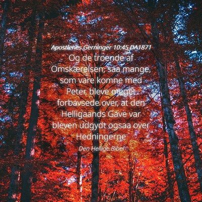 Picture 04 - Apostlenes Gerninger 10:45 DA1871 - Og de troende af Omskærelsen, saa mange, som - Bible Verse Picture