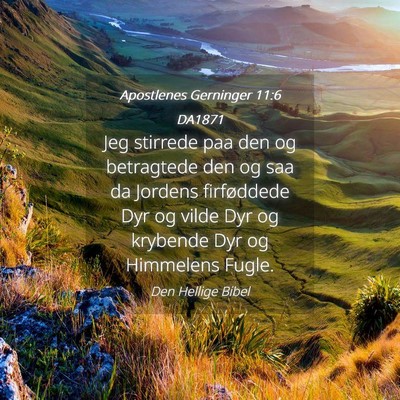 Picture 04 - Apostlenes Gerninger 11:6 DA1871 - Jeg stirrede paa den og betragtede den og saa da - Bible Verse Picture