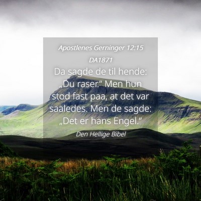 Picture 04 - Apostlenes Gerninger 12:15 DA1871 - Da sagde de til hende: „Du raser.“ Men hun - Bible Verse Picture