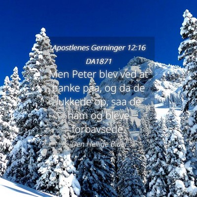 Picture 04 - Apostlenes Gerninger 12:16 DA1871 - Men Peter blev ved at banke paa, og da de lukkede - Bible Verse Picture
