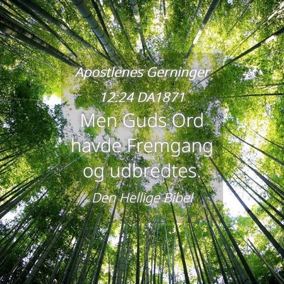 Picture 04 - Apostlenes Gerninger 12:24 DA1871 - Men Guds Ord havde Fremgang og - Bible Verse Picture