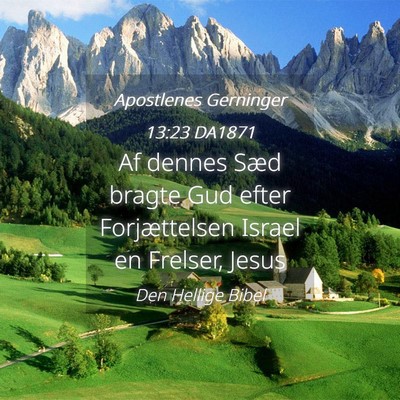 Picture 04 - Apostlenes Gerninger 13:23 DA1871 - Af dennes Sæd bragte Gud efter Forjættelsen - Bible Verse Picture