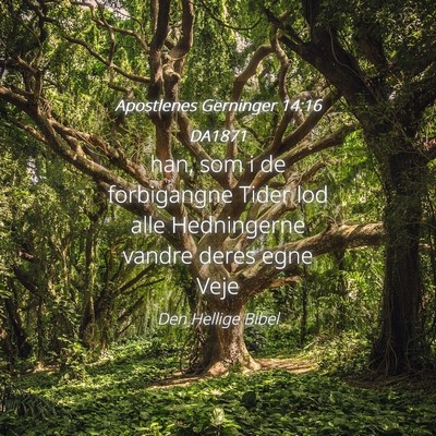 Picture 04 - Apostlenes Gerninger 14:16 DA1871 - han, som i de forbigangne Tider lod alle - Bible Verse Picture