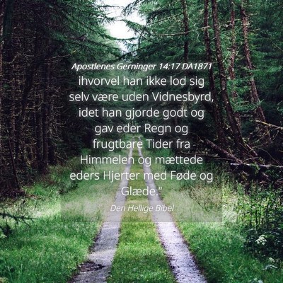 Picture 04 - Apostlenes Gerninger 14:17 DA1871 - ihvorvel han ikke lod sig selv være uden - Bible Verse Picture
