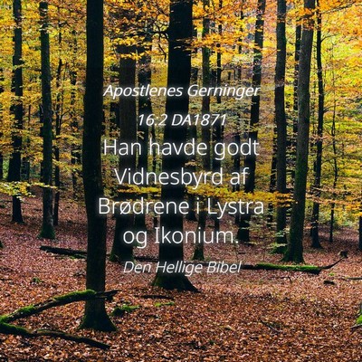 Picture 04 - Apostlenes Gerninger 16:2 DA1871 - Han havde godt Vidnesbyrd af Brødrene i Lystra - Bible Verse Picture