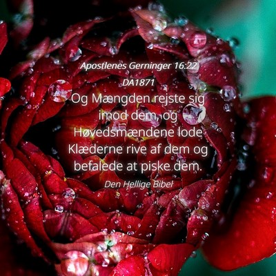Picture 04 - Apostlenes Gerninger 16:22 DA1871 - Og Mængden rejste sig imod dem, og - Bible Verse Picture