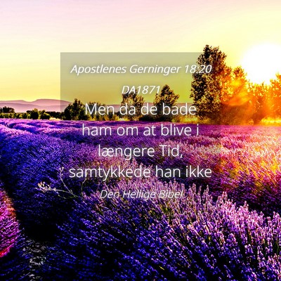 Picture 04 - Apostlenes Gerninger 18:20 DA1871 - Men da de bade ham om at blive i længere Tid, - Bible Verse Picture