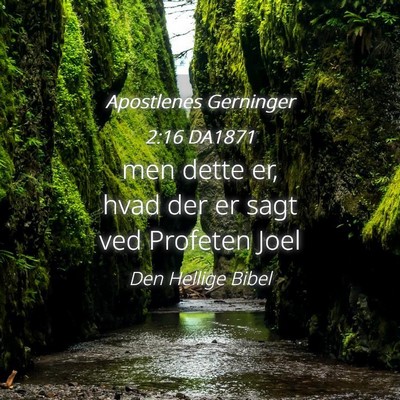 Picture 04 - Apostlenes Gerninger 2:16 DA1871 - men dette er, hvad der er sagt ved Profeten - Bible Verse Picture