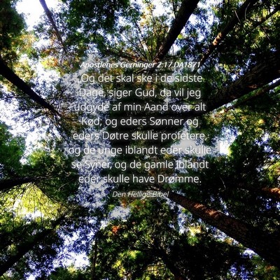 Picture 04 - Apostlenes Gerninger 2:17 DA1871 - „Og det skal ske i de sidste Dage, siger Gud, - Bible Verse Picture