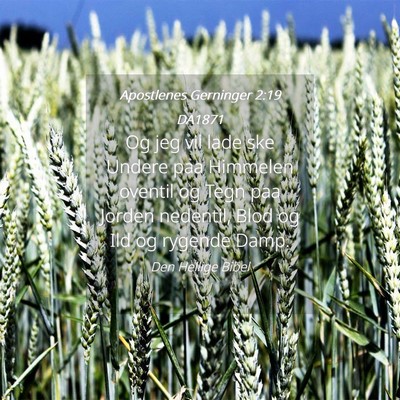 Picture 04 - Apostlenes Gerninger 2:19 DA1871 - Og jeg vil lade ske Undere paa Himmelen oventil - Bible Verse Picture