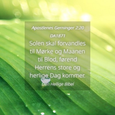 Picture 04 - Apostlenes Gerninger 2:20 DA1871 - Solen skal forvandles til Mørke og Maanen til - Bible Verse Picture