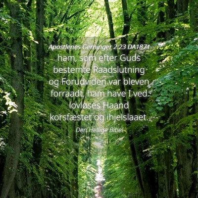Picture 04 - Apostlenes Gerninger 2:23 DA1871 - ham, som efter Guds bestemte Raadslutning og - Bible Verse Picture