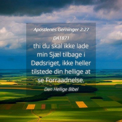 Picture 04 - Apostlenes Gerninger 2:27 DA1871 - thi du skal ikke lade min Sjæl tilbage i - Bible Verse Picture