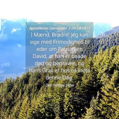 Picture 04 - Apostlenes Gerninger 2:29 DA1871 - I Mænd, Brødre! Jeg kan sige med Frimodighed - Bible Verse Picture