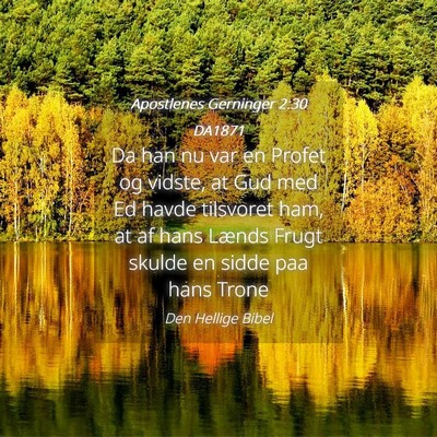 Picture 04 - Apostlenes Gerninger 2:30 DA1871 - Da han nu var en Profet og vidste, at Gud med Ed - Bible Verse Picture