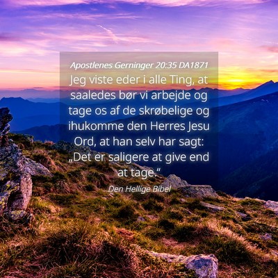 Picture 04 - Apostlenes Gerninger 20:35 DA1871 - Jeg viste eder i alle Ting, at saaledes bør vi - Bible Verse Picture
