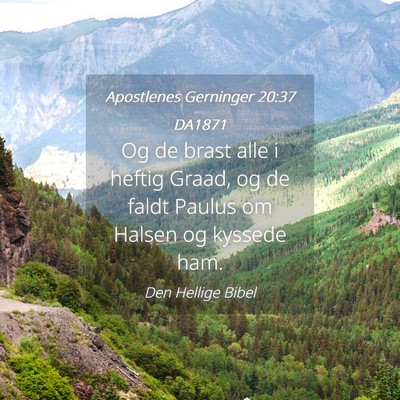 Picture 04 - Apostlenes Gerninger 20:37 DA1871 - Og de brast alle i heftig Graad, og de faldt - Bible Verse Picture
