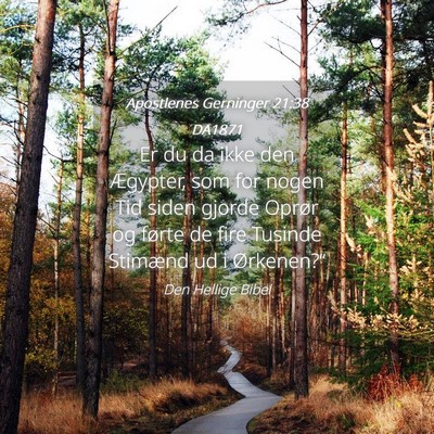 Picture 04 - Apostlenes Gerninger 21:38 DA1871 - Er du da ikke den Ægypter, som for nogen Tid - Bible Verse Picture