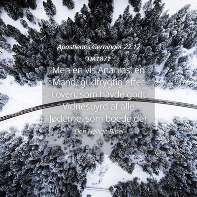 Picture 04 - Apostlenes Gerninger 22:12 DA1871 - Men en vis Ananias, en Mand, gudfrygtig efter - Bible Verse Picture