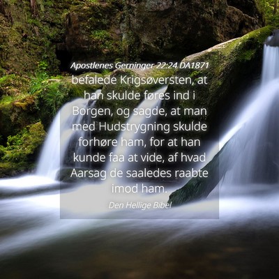 Picture 04 - Apostlenes Gerninger 22:24 DA1871 - befalede Krigsøversten, at han skulde føres ind - Bible Verse Picture
