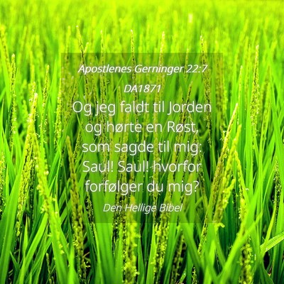 Picture 04 - Apostlenes Gerninger 22:7 DA1871 - Og jeg faldt til Jorden og hørte en Røst, som - Bible Verse Picture