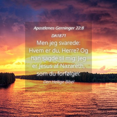 Picture 04 - Apostlenes Gerninger 22:8 DA1871 - Men jeg svarede: Hvem er du, Herre? Og han sagde - Bible Verse Picture