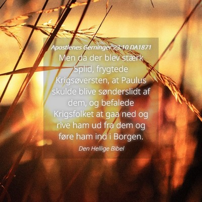 Picture 04 - Apostlenes Gerninger 23:10 DA1871 - Men da der blev stærk Splid, frygtede - Bible Verse Picture