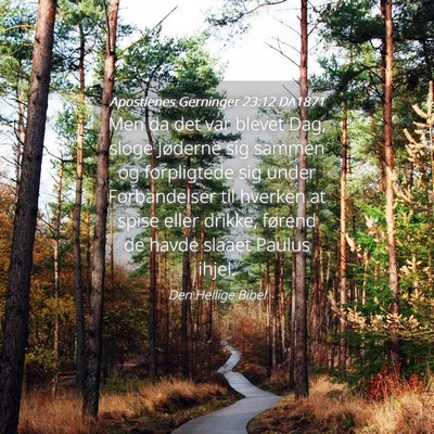 Picture 04 - Apostlenes Gerninger 23:12 DA1871 - Men da det var blevet Dag, sloge Jøderne sig - Bible Verse Picture