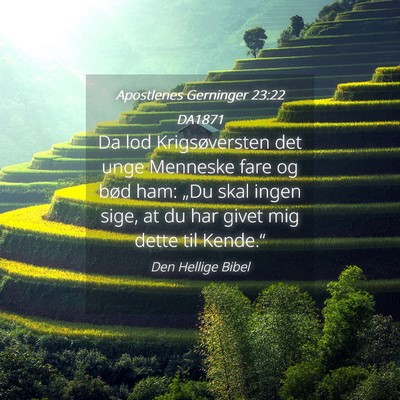 Picture 04 - Apostlenes Gerninger 23:22 DA1871 - Da lod Krigsøversten det unge Menneske fare og - Bible Verse Picture