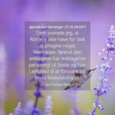 Picture 04 - Apostlenes Gerninger 25:16 DA1871 - Dem svarede jeg, at Romere ikke have for Skik at - Bible Verse Picture