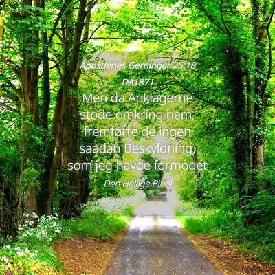 Picture 04 - Apostlenes Gerninger 25:18 DA1871 - Men da Anklagerne stode omkring ham, fremførte - Bible Verse Picture