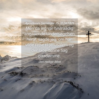 Picture 04 - Apostlenes Gerninger 25:20 DA1871 - Men da jeg var tvivlraadig angaaende - Bible Verse Picture