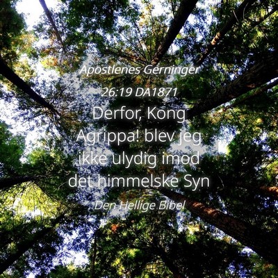 Picture 04 - Apostlenes Gerninger 26:19 DA1871 - Derfor, Kong Agrippa! blev jeg ikke ulydig imod - Bible Verse Picture