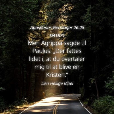 Picture 04 - Apostlenes Gerninger 26:28 DA1871 - Men Agrippa sagde til Paulus: „Der fattes lidet - Bible Verse Picture