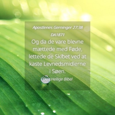 Picture 04 - Apostlenes Gerninger 27:38 DA1871 - Og da de vare blevne mættede med Føde, lettede - Bible Verse Picture
