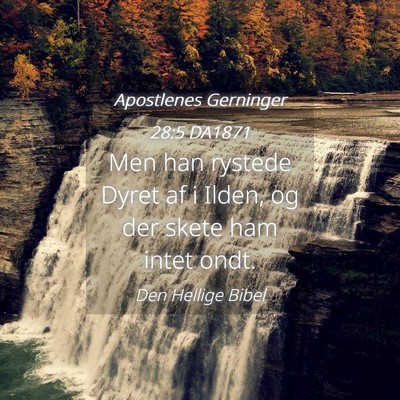 Picture 04 - Apostlenes Gerninger 28:5 DA1871 - Men han rystede Dyret af i Ilden, og der skete - Bible Verse Picture