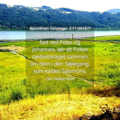 Picture 04 - Apostlenes Gerninger 3:11 DA1871 - Medens han nu holdt fast ved Peter og Johannes, - Bible Verse Picture