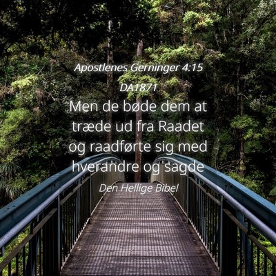 Picture 04 - Apostlenes Gerninger 4:15 DA1871 - Men de bøde dem at træde ud fra Raadet og - Bible Verse Picture