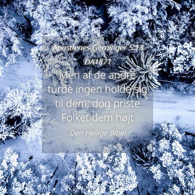 Picture 04 - Apostlenes Gerninger 5:13 DA1871 - Men af de andre turde ingen holde sig til dem; - Bible Verse Picture